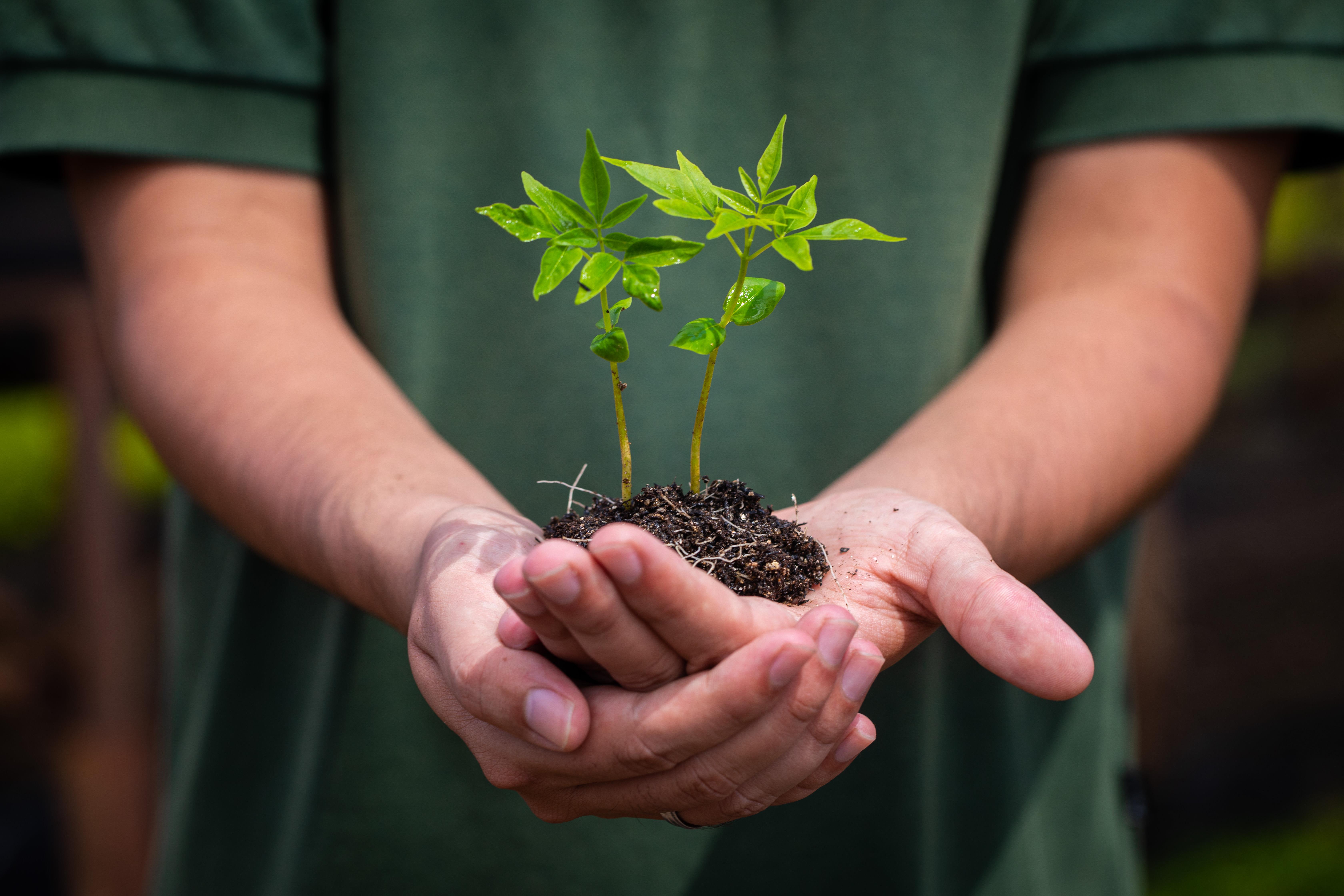 環(huán)保行動(dòng)